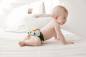 Preview: Blümchen All-in-One Bambus OneSize Druckknopf (3,5-15kg) Wildlife Edition