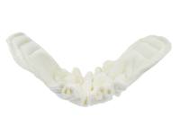 Blümchen adult 2in1 insert Bamboo (Made in Turkey) - MEDIUM