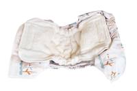 Blümchen 2in1 PLUS Frottee Einlage 5 Stück Bambus-Baumwolle